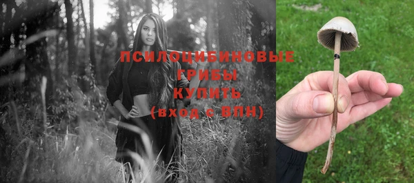 экстази Арсеньев
