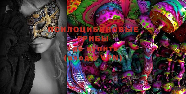 экстази Арсеньев
