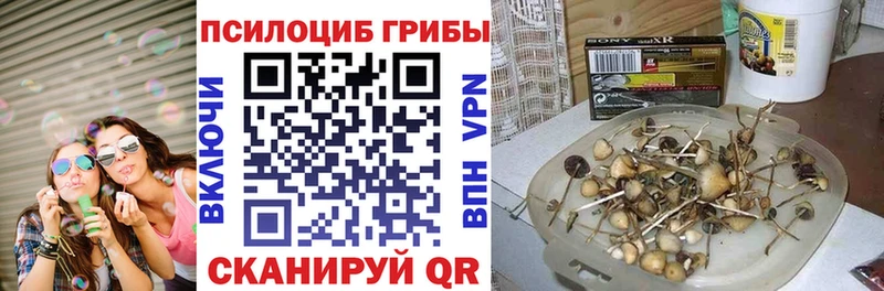 Галлюциногенные грибы мухоморы  гидра ссылки  Тарко-Сале  наркота 